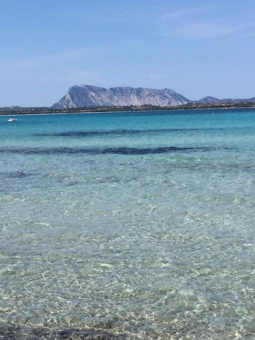 Camera Sole Olbia Kültér fotó