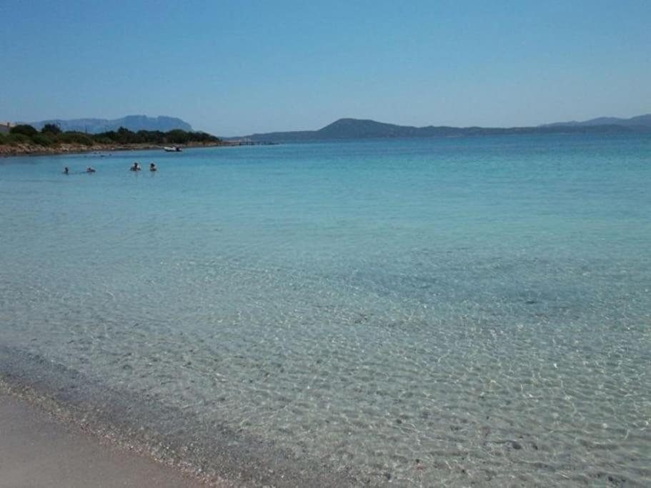 Camera Sole Olbia Kültér fotó